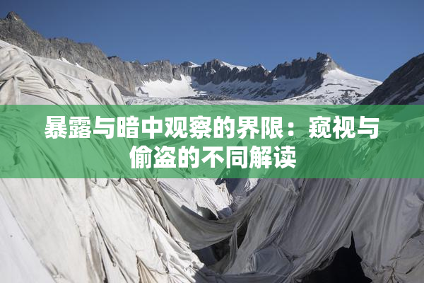 暴露与暗中观察的界限：窥视与偷盗的不同解读