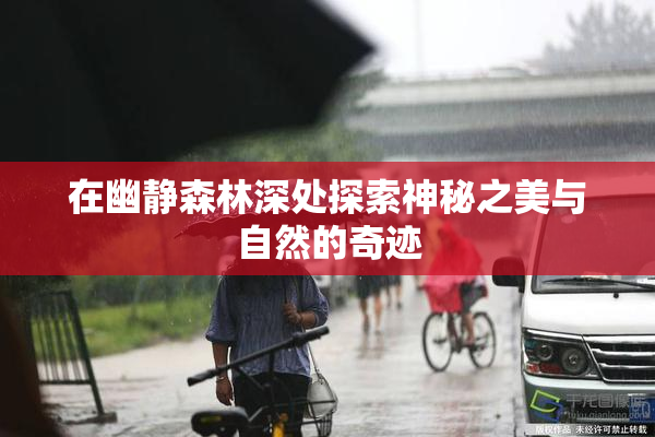 在幽静森林深处探索神秘之美与自然的奇迹