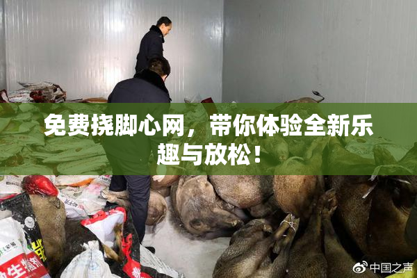 免费挠脚心网，带你体验全新乐趣与放松！
