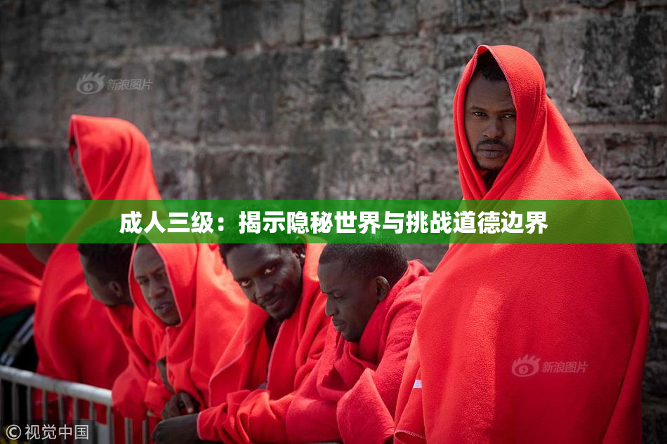 成人三级：揭示隐秘世界与挑战道德边界