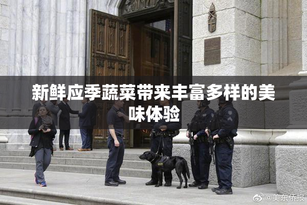 新鲜应季蔬菜带来丰富多样的美味体验