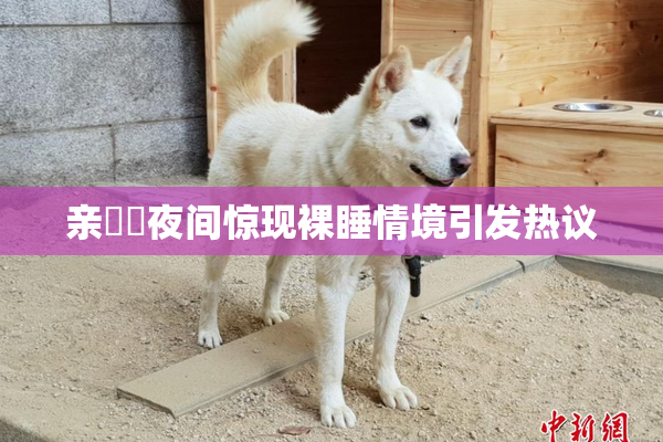 亲妺妺夜间惊现裸睡情境引发热议