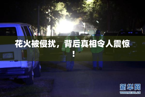 花火被侵扰，背后真相令人震惊！