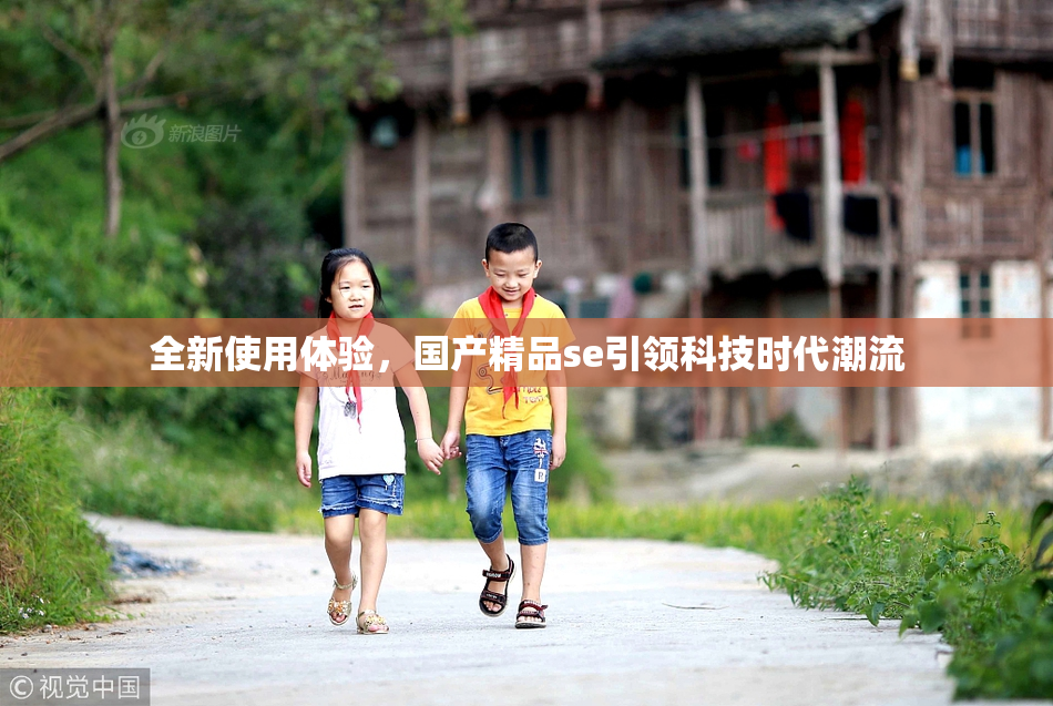 全新使用体验，国产精品se引领科技时代潮流