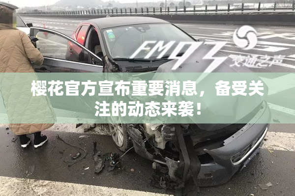 樱花官方宣布重要消息，备受关注的动态来袭！