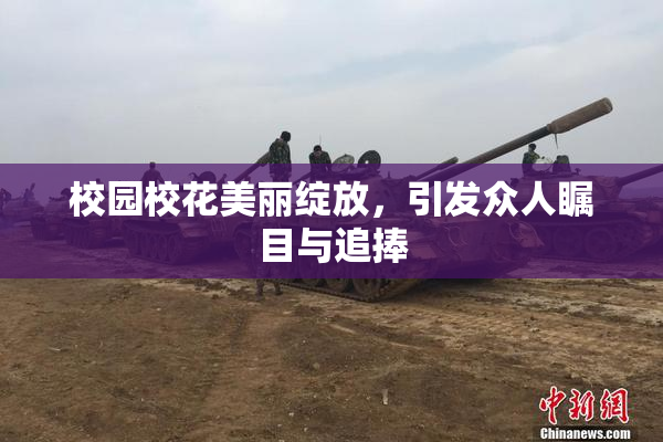 校园校花美丽绽放，引发众人瞩目与追捧