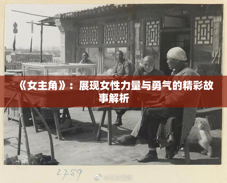 《女主角》：展现女性力量与勇气的精彩故事解析