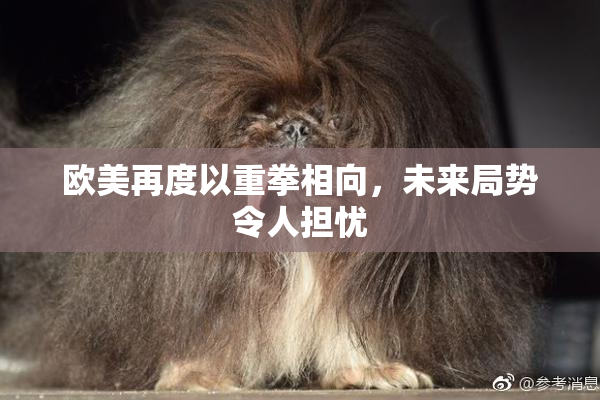 欧美再度以重拳相向，未来局势令人担忧