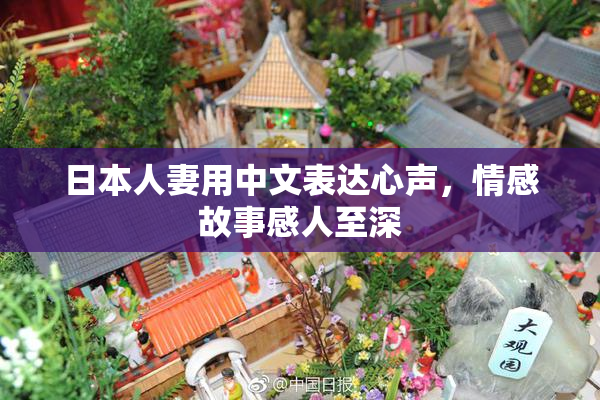 日本人妻用中文表达心声，情感故事感人至深