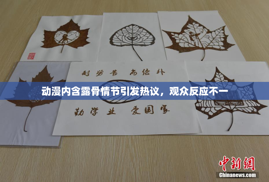 动漫内含露骨情节引发热议，观众反应不一