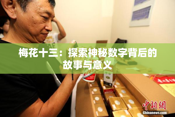 梅花十三：探索神秘数字背后的故事与意义