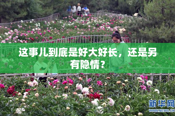 这事儿到底是好大好长，还是另有隐情？