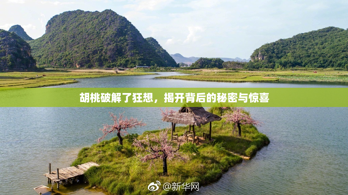 胡桃破解了狂想，揭开背后的秘密与惊喜