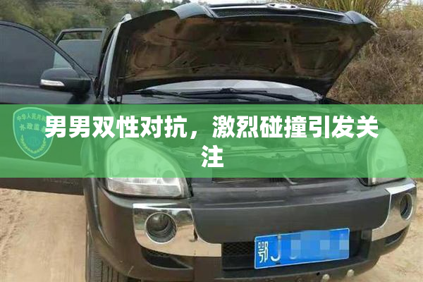 男男双性对抗，激烈碰撞引发关注
