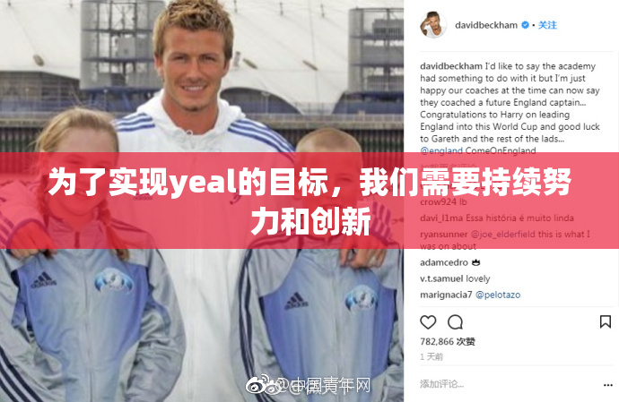 为了实现yeal的目标，我们需要持续努力和创新