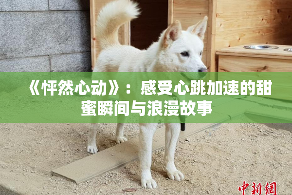 《怦然心动》：感受心跳加速的甜蜜瞬间与浪漫故事