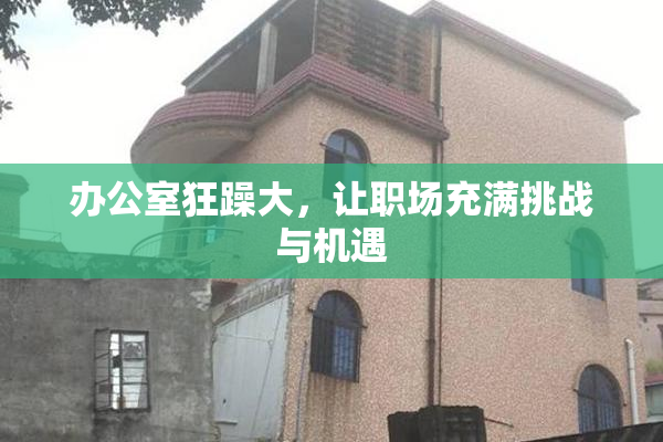 办公室狂躁大，让职场充满挑战与机遇