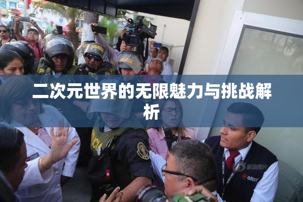 二次元世界的无限魅力与挑战解析