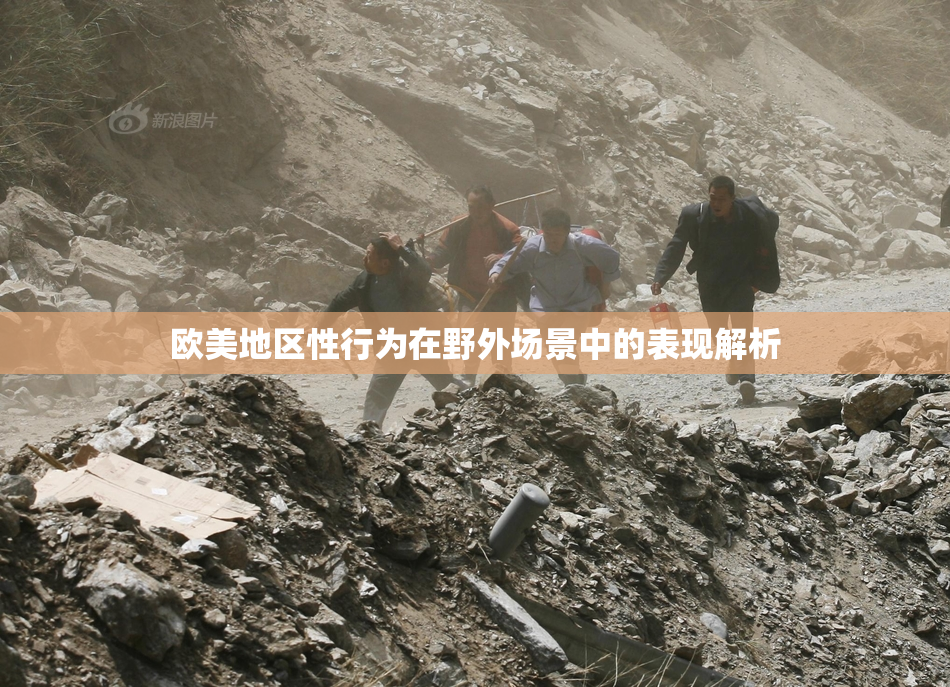 欧美地区性行为在野外场景中的表现解析