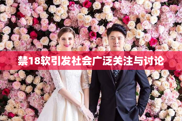 禁18软引发社会广泛关注与讨论