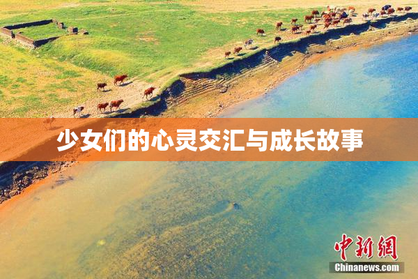 少女们的心灵交汇与成长故事
