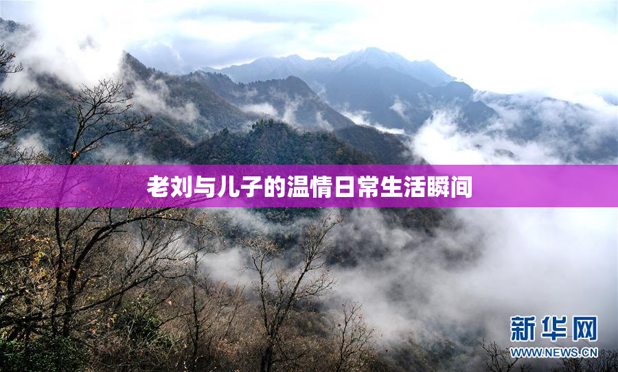 老刘与儿子的温情日常生活瞬间