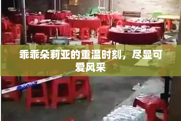 乖乖朵莉亚的重温时刻，尽显可爱风采