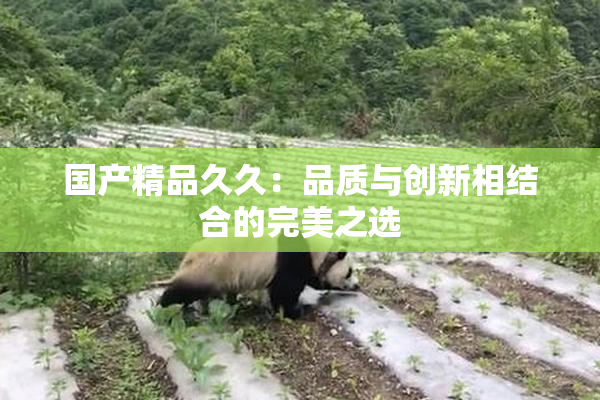 国产精品久久：品质与创新相结合的完美之选