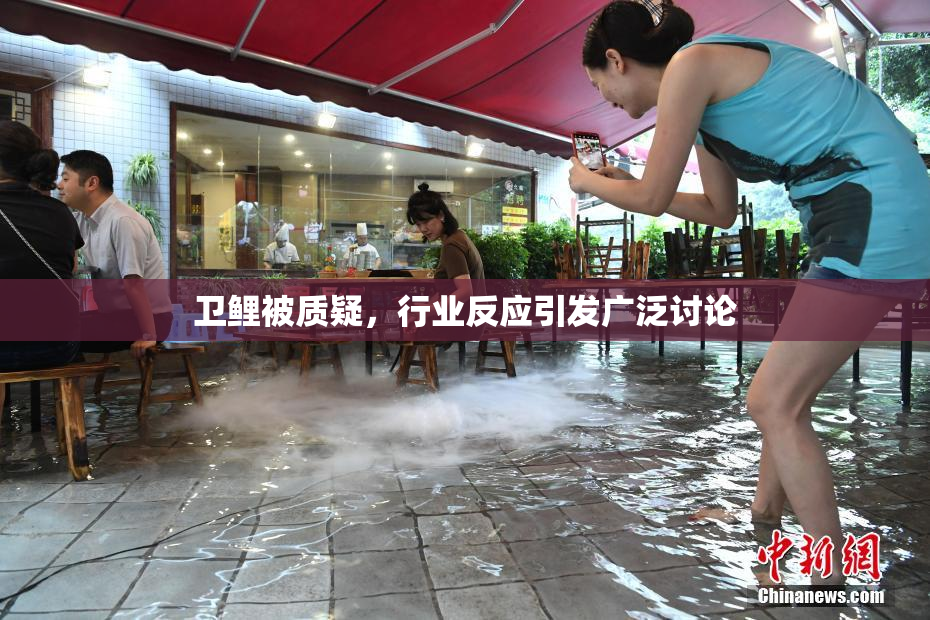 卫鲤被质疑，行业反应引发广泛讨论