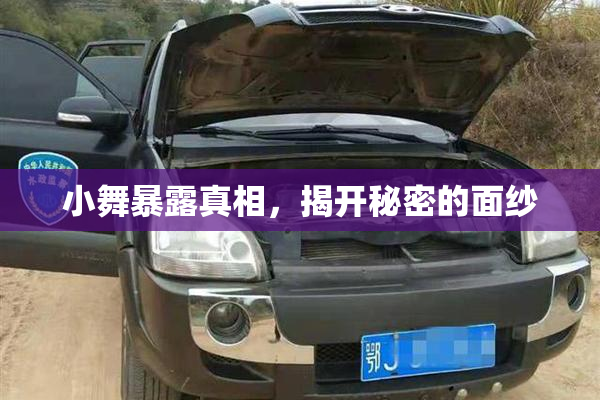小舞暴露真相，揭开秘密的面纱