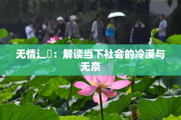 无情辶喿：解读当下社会的冷漠与无奈