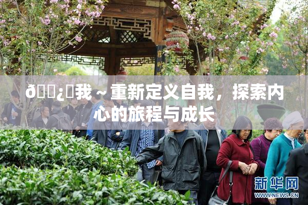 🌿‌我～重新定义自我，探索内心的旅程与成长