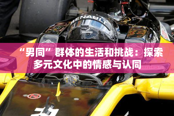 “男同”群体的生活和挑战：探索多元文化中的情感与认同
