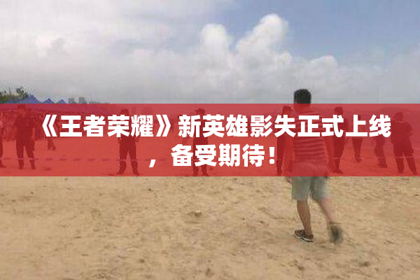 《王者荣耀》新英雄影失正式上线，备受期待！