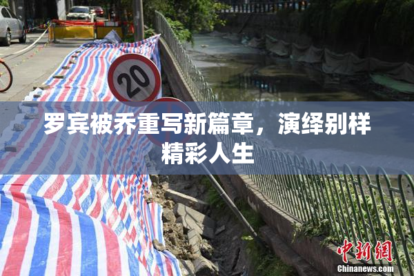 罗宾被乔重写新篇章，演绎别样精彩人生