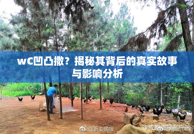 wC凹凸撒？揭秘其背后的真实故事与影响分析