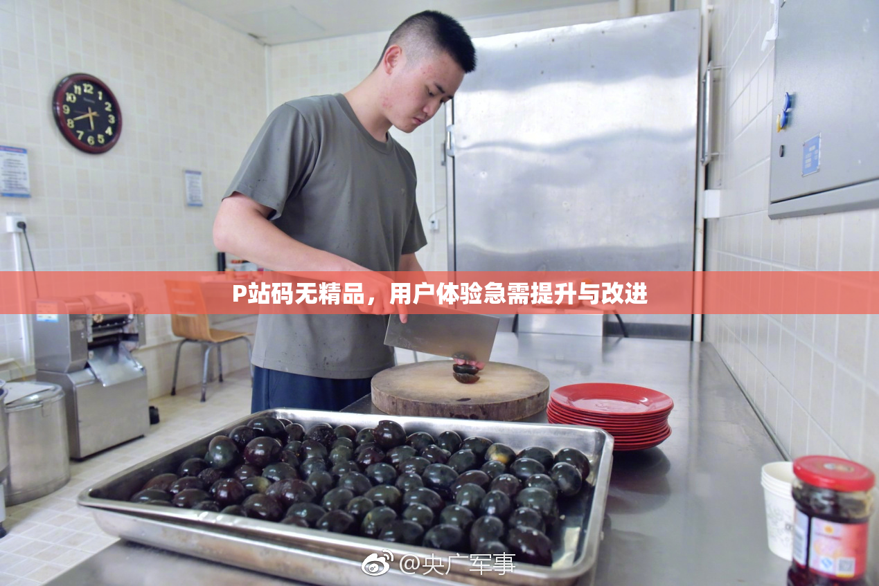 P站码无精品，用户体验急需提升与改进