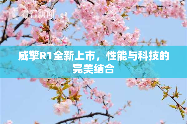 威擎R1全新上市，性能与科技的完美结合