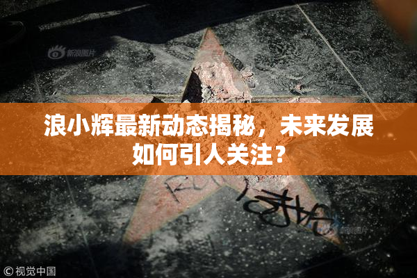 浪小辉最新动态揭秘，未来发展如何引人关注？