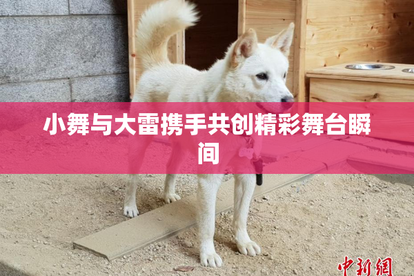 小舞与大雷携手共创精彩舞台瞬间