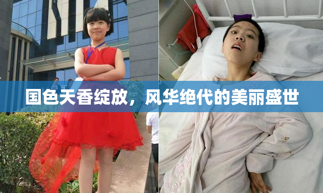 国色天香绽放，风华绝代的美丽盛世