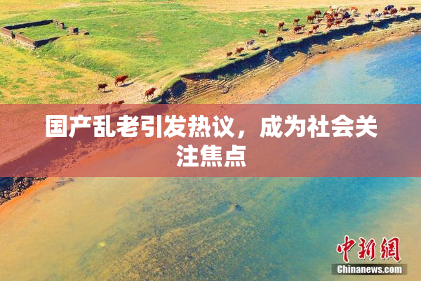 国产乱老引发热议，成为社会关注焦点