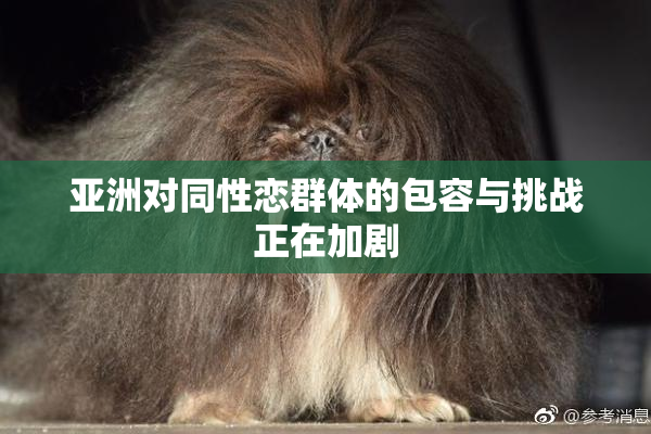 亚洲对同性恋群体的包容与挑战正在加剧