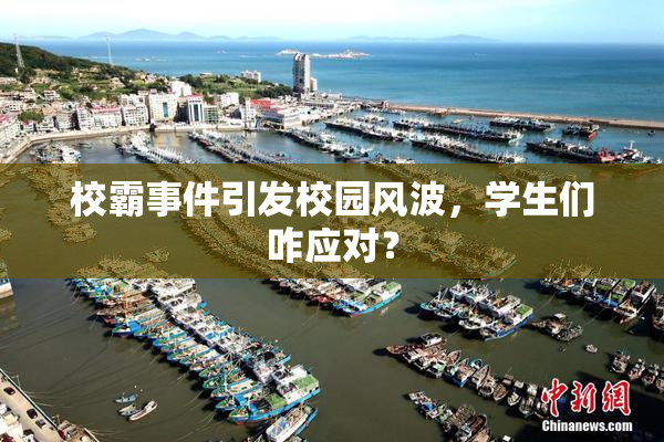 校霸事件引发校园风波，学生们咋应对？