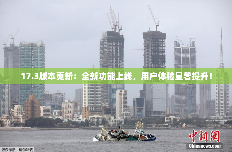 17.3版本更新：全新功能上线，用户体验显著提升！