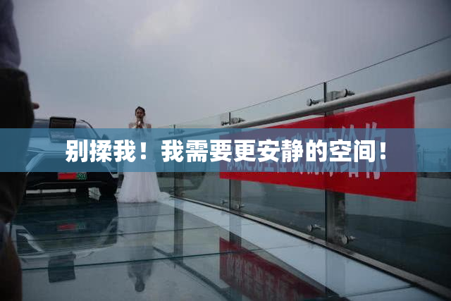 别揉我！我需要更安静的空间！