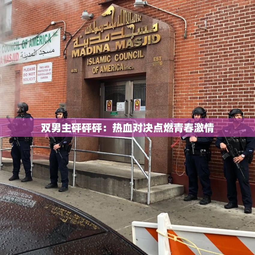 双男主砰砰砰：热血对决点燃青春激情
