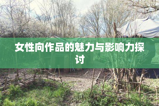 女性向作品的魅力与影响力探讨