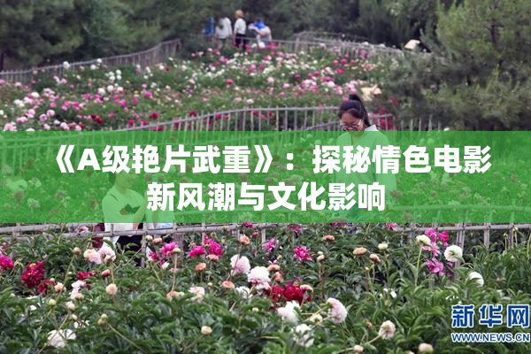 《A级艳片武重》：探秘情色电影新风潮与文化影响