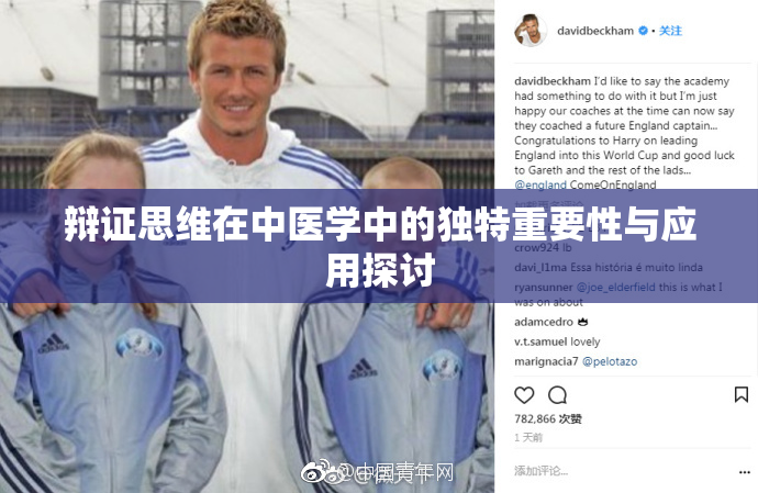 辩证思维在中医学中的独特重要性与应用探讨